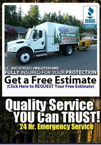 Get a free estimate on your tree removal project.